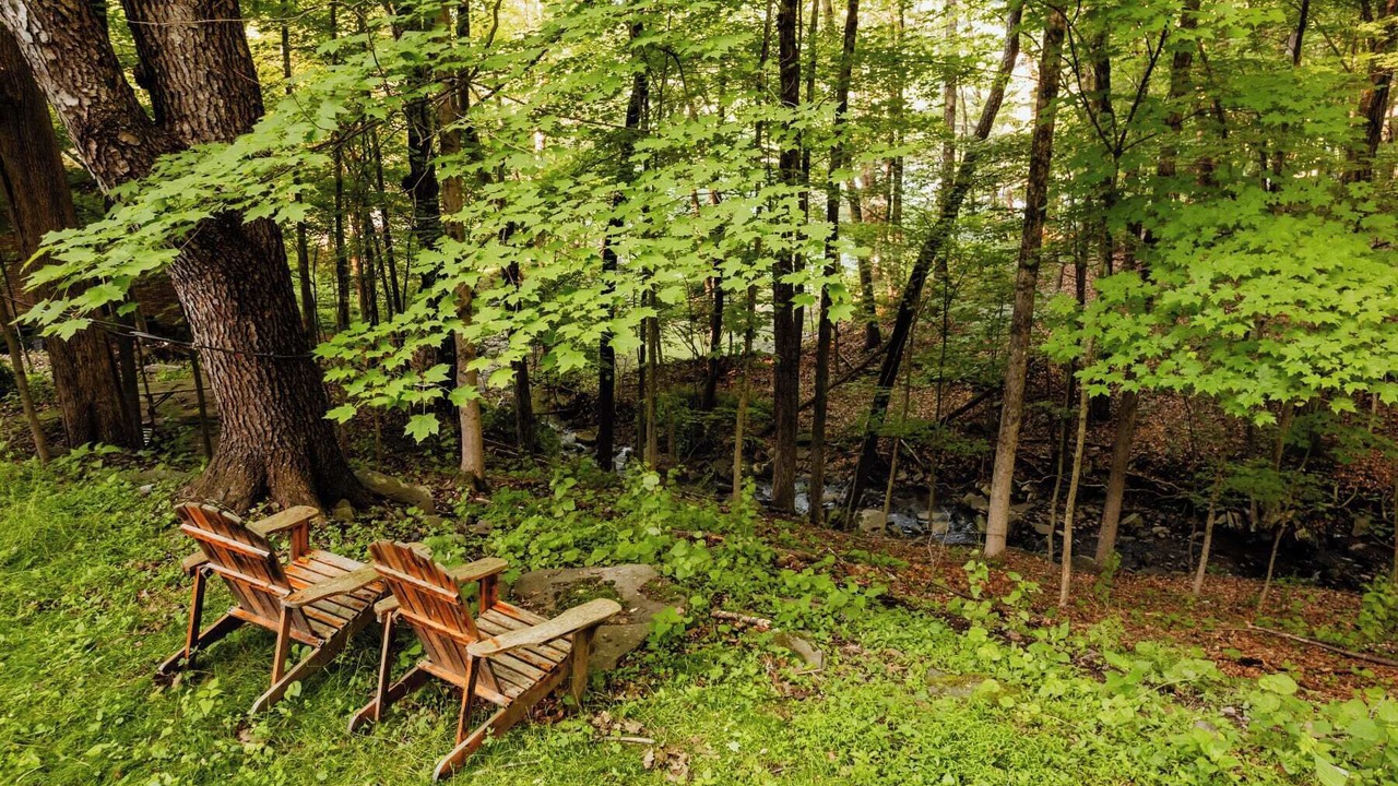 Photo of Outdoor in Callicoon