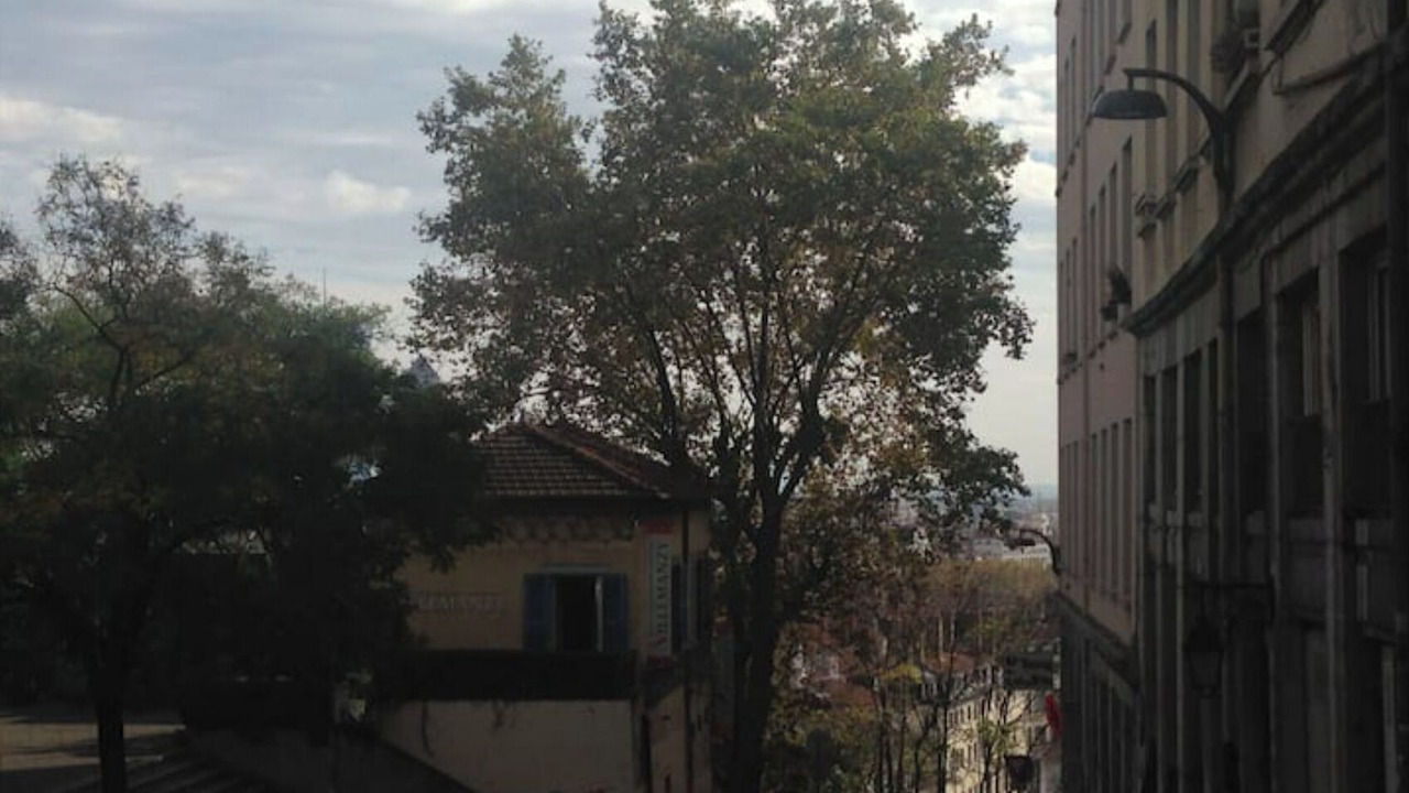 Photo of Outdoor in Griffon - Royale