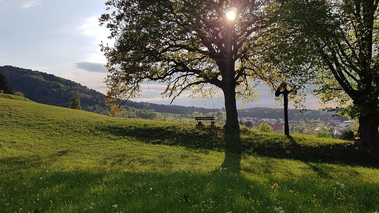 Photo of Others in Roßwangen