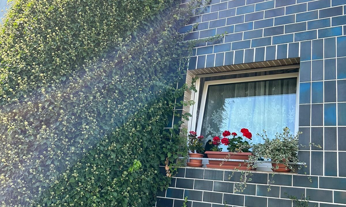 Photo of Outdoor in Westhoven