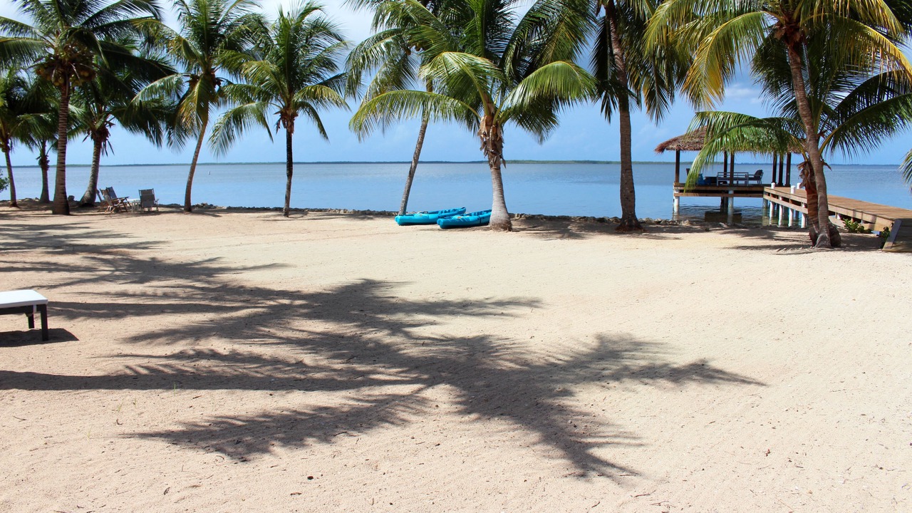 Photo of Others in Rum Point