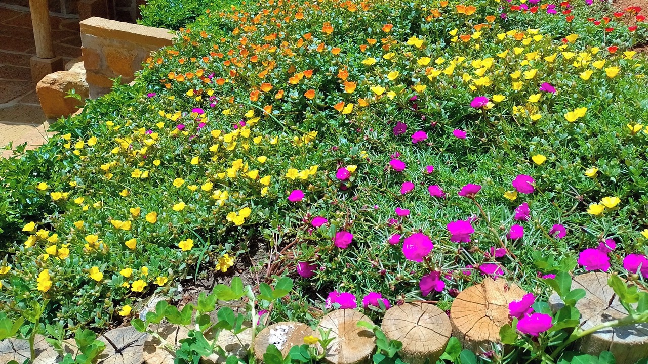 Photo of Outdoor in Barichara