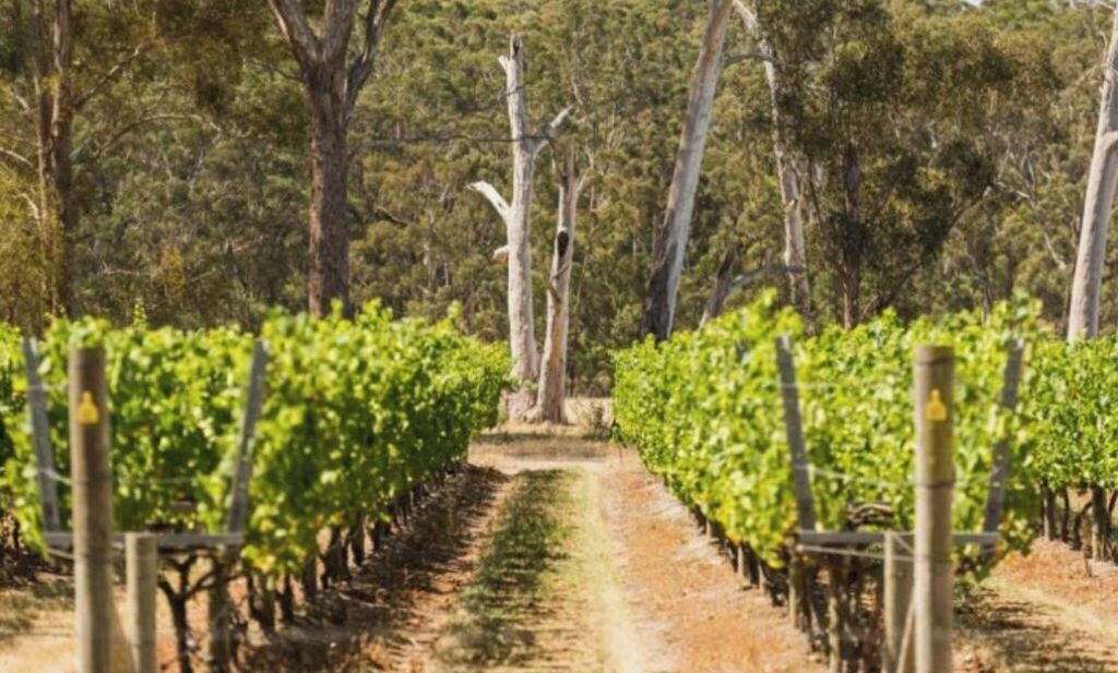 Photo of Outdoor in Maffra