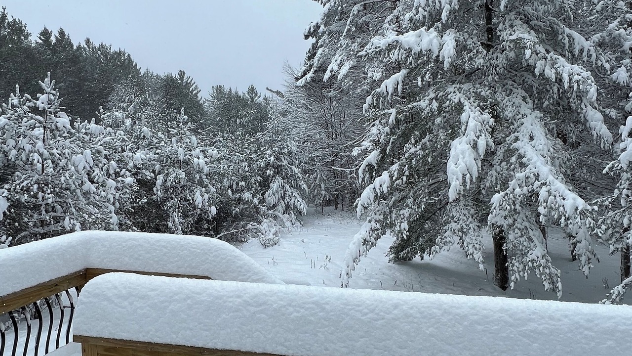 Photo of Outdoor in Woodgate
