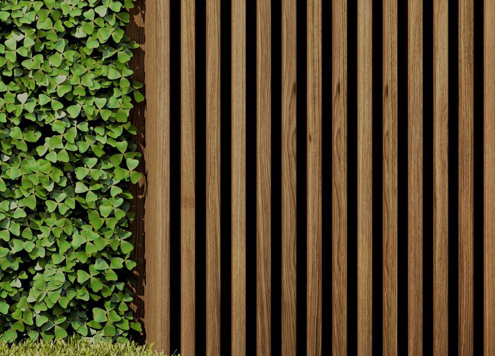 Photo of Outdoor in Mar Vista