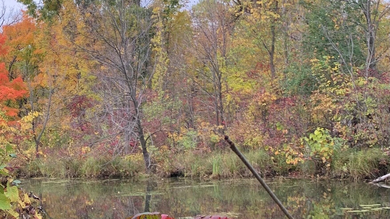 Photo of Others in Richville