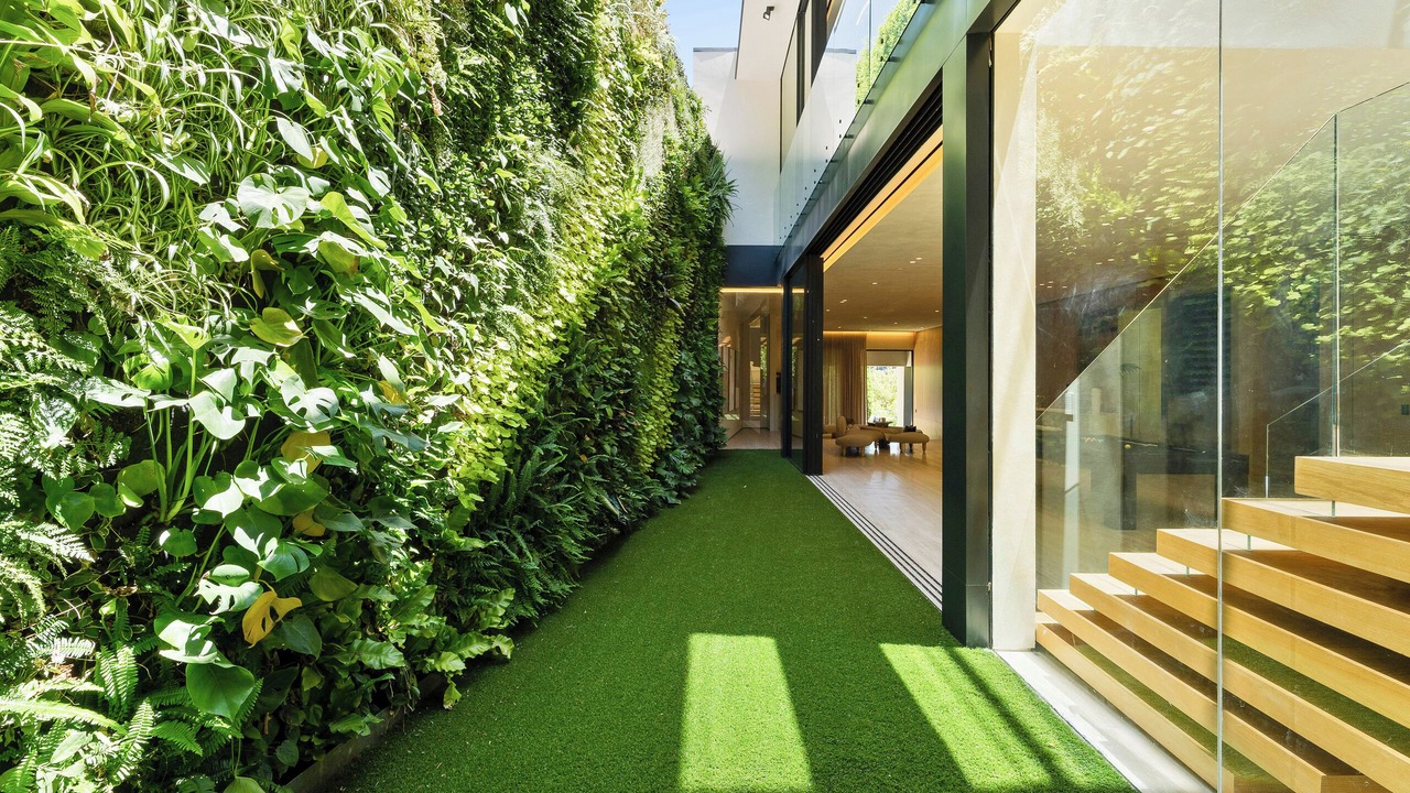 Photo of Outdoor in The Bird Streets