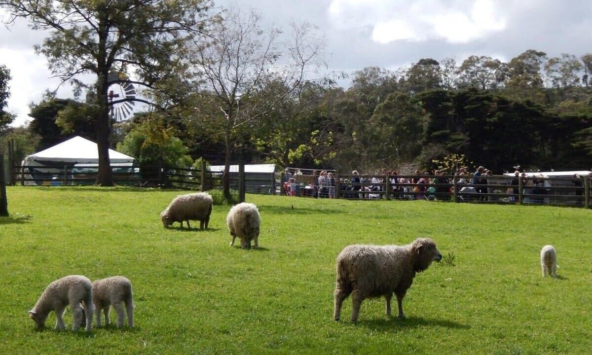 Photo of Others in Collingwood