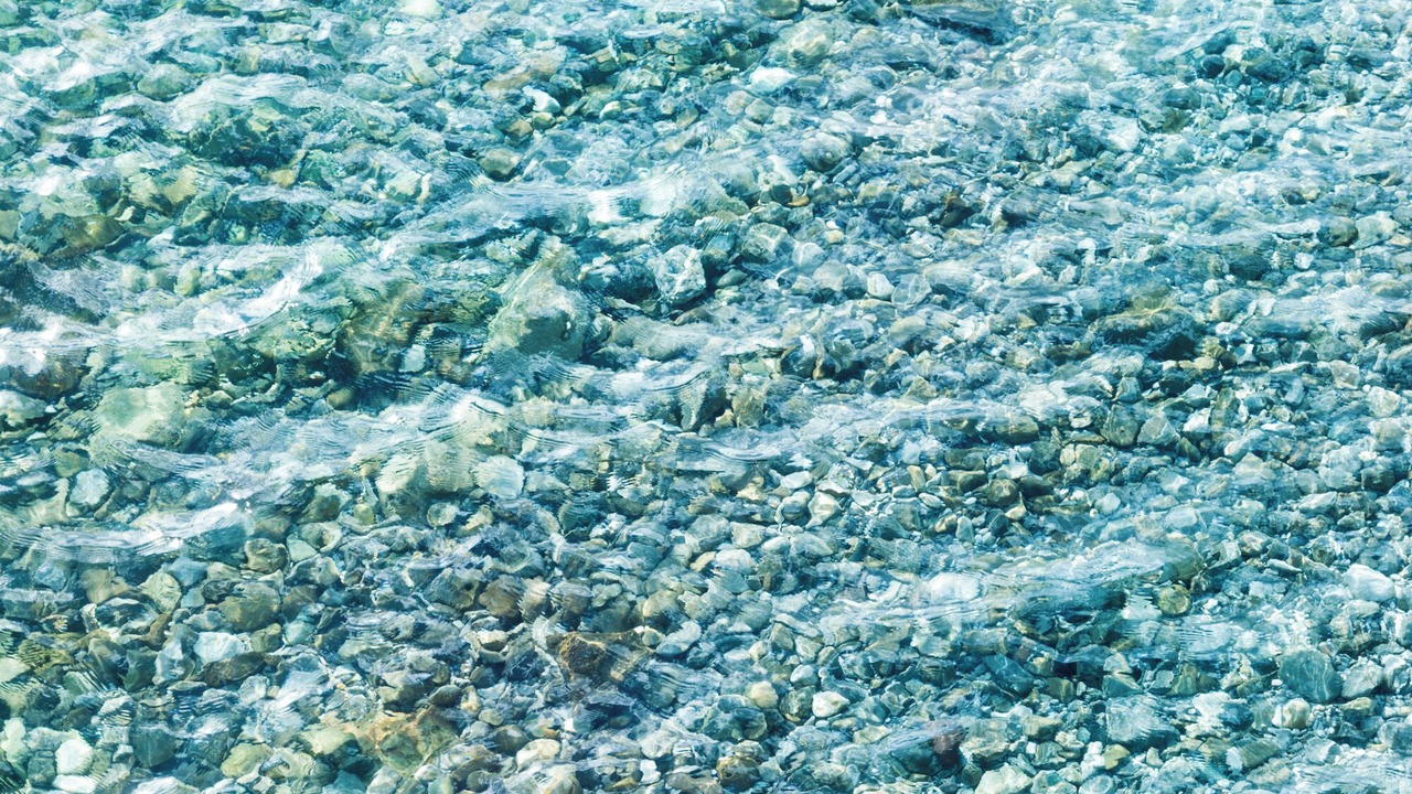 Photo of Outdoor in Duino-Aurisina
