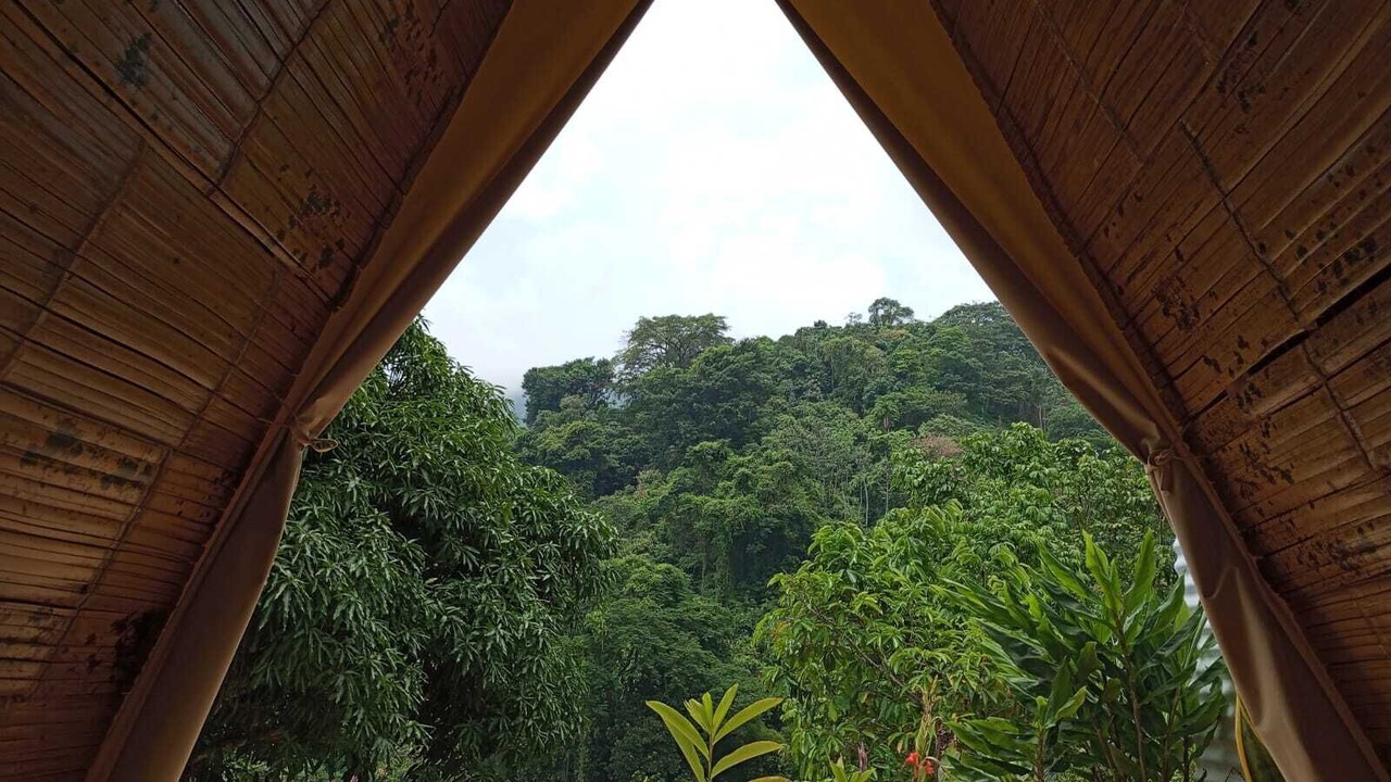 Photo of Outdoor in Minca