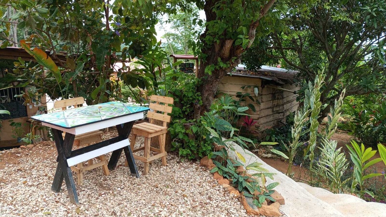 Photo of Outdoor in Minca