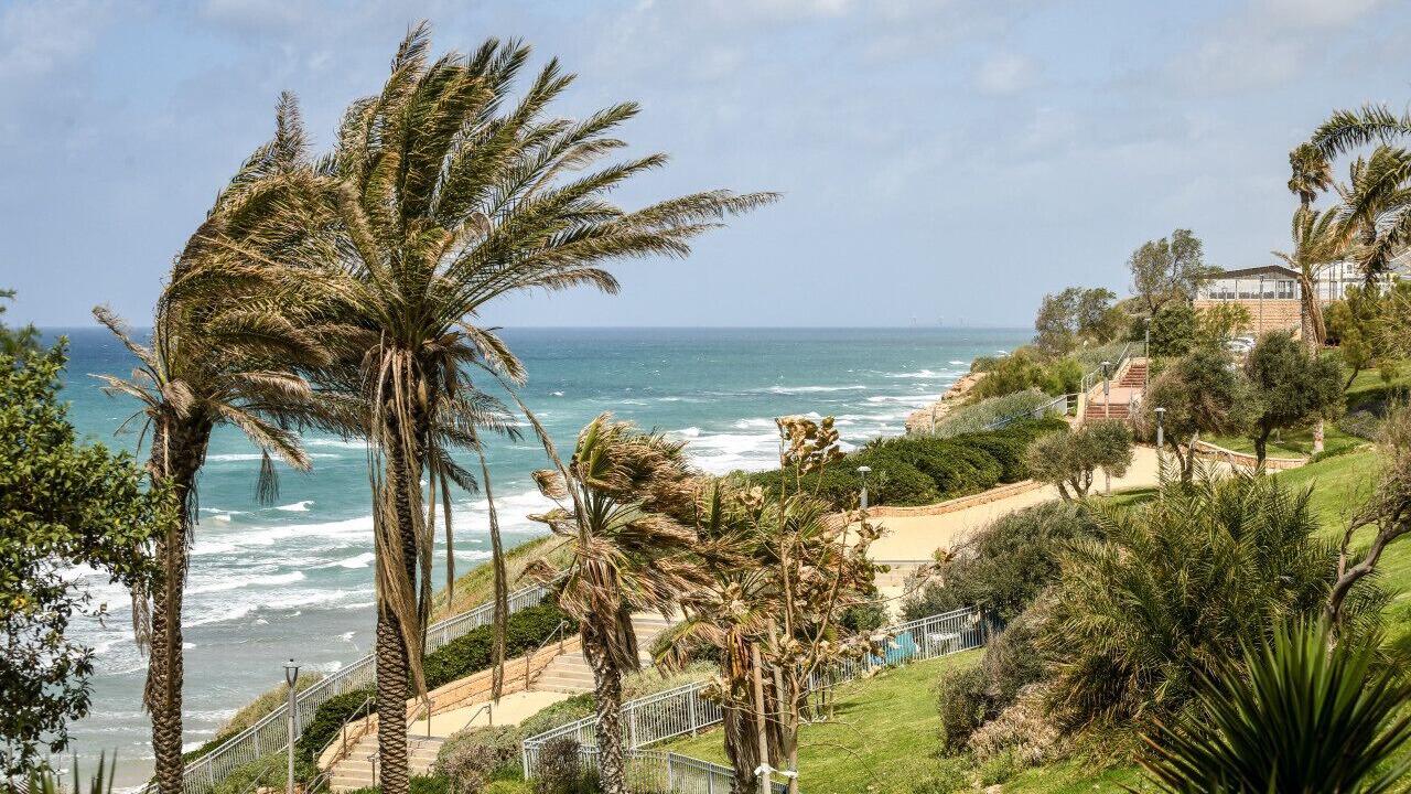 Photo of Others in Netanya