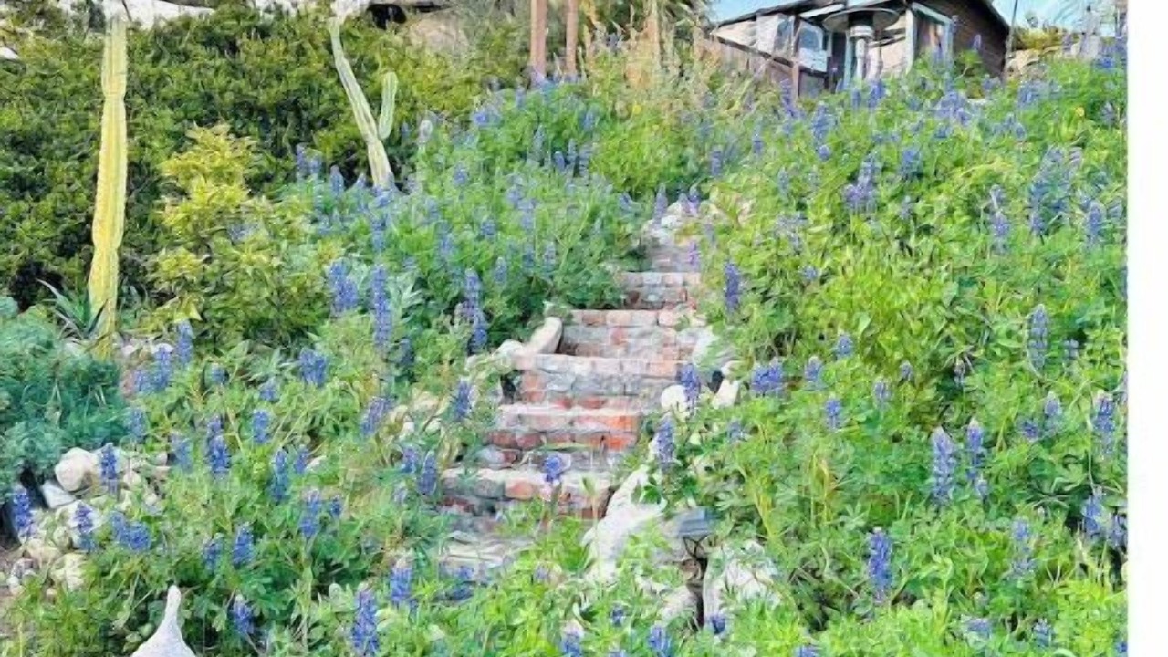Photo of Outdoor in Atwater Village