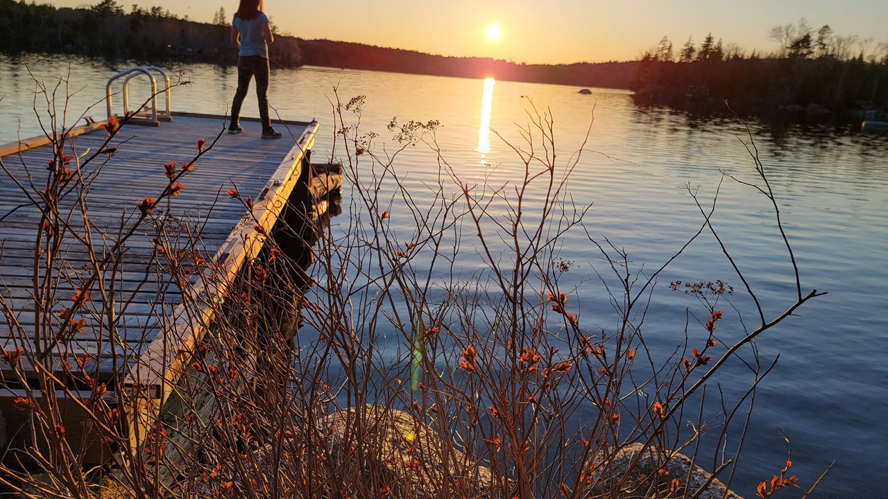 Photo of Others in Gaetz Brook