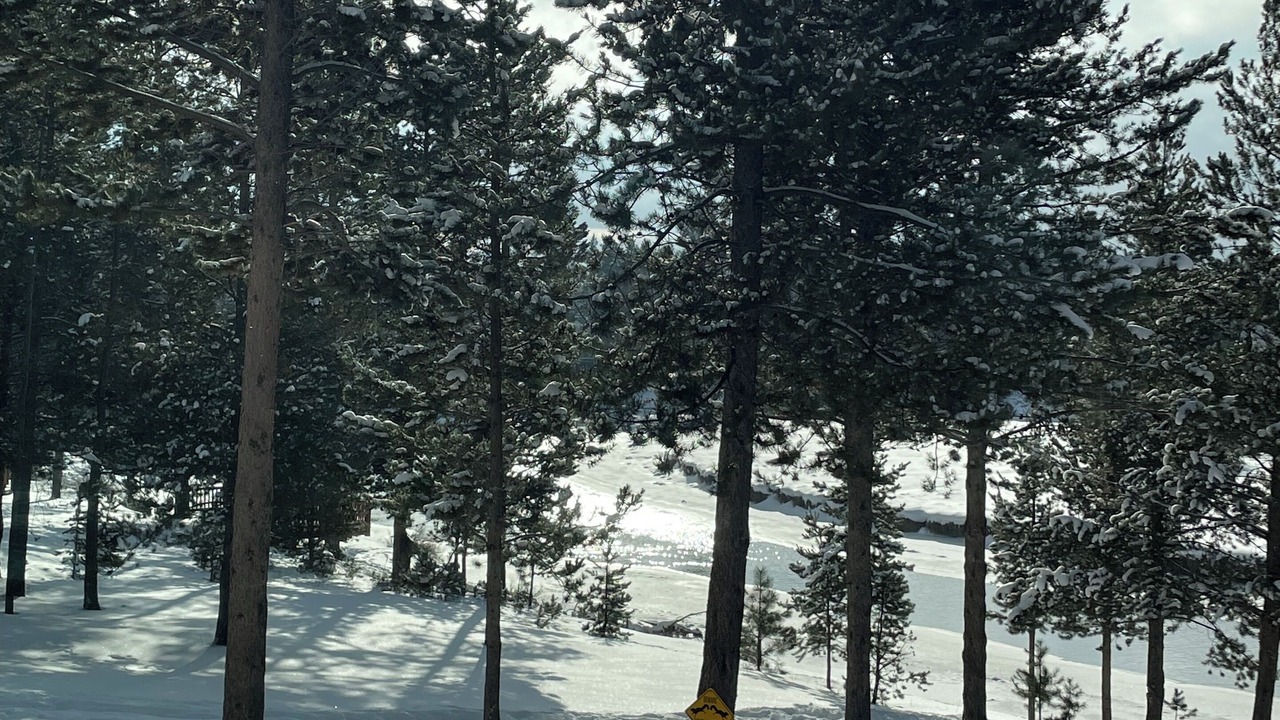 Photo of Outdoor in Oregon Water Wonderland