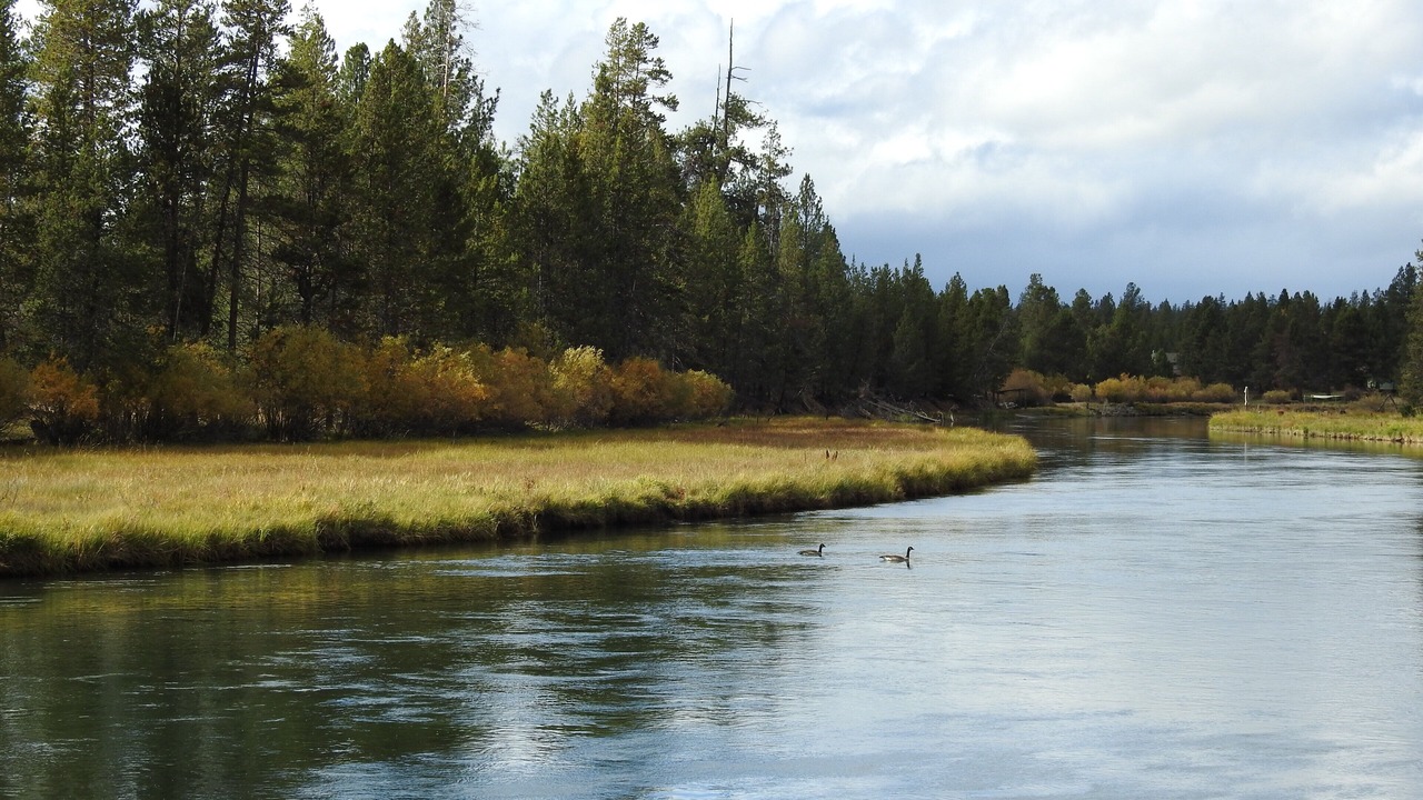 Photo of Others in Oregon Water Wonderland