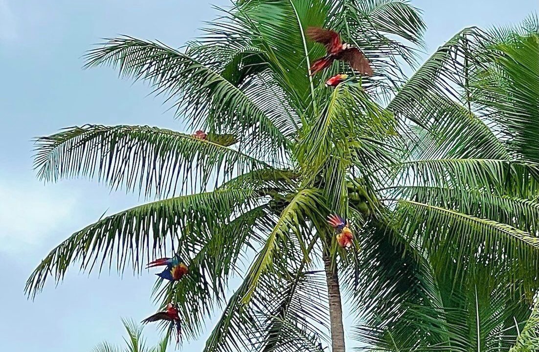 Photo of Outdoor in Uvita