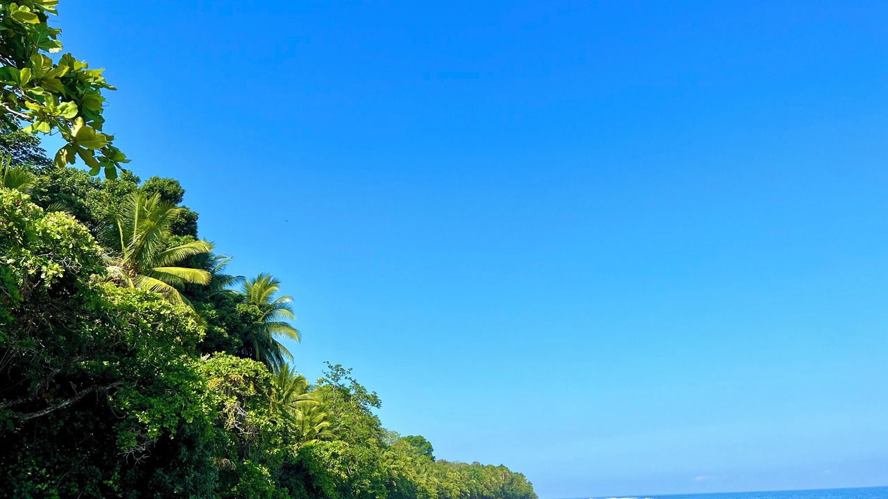 Photo of Others in Uvita