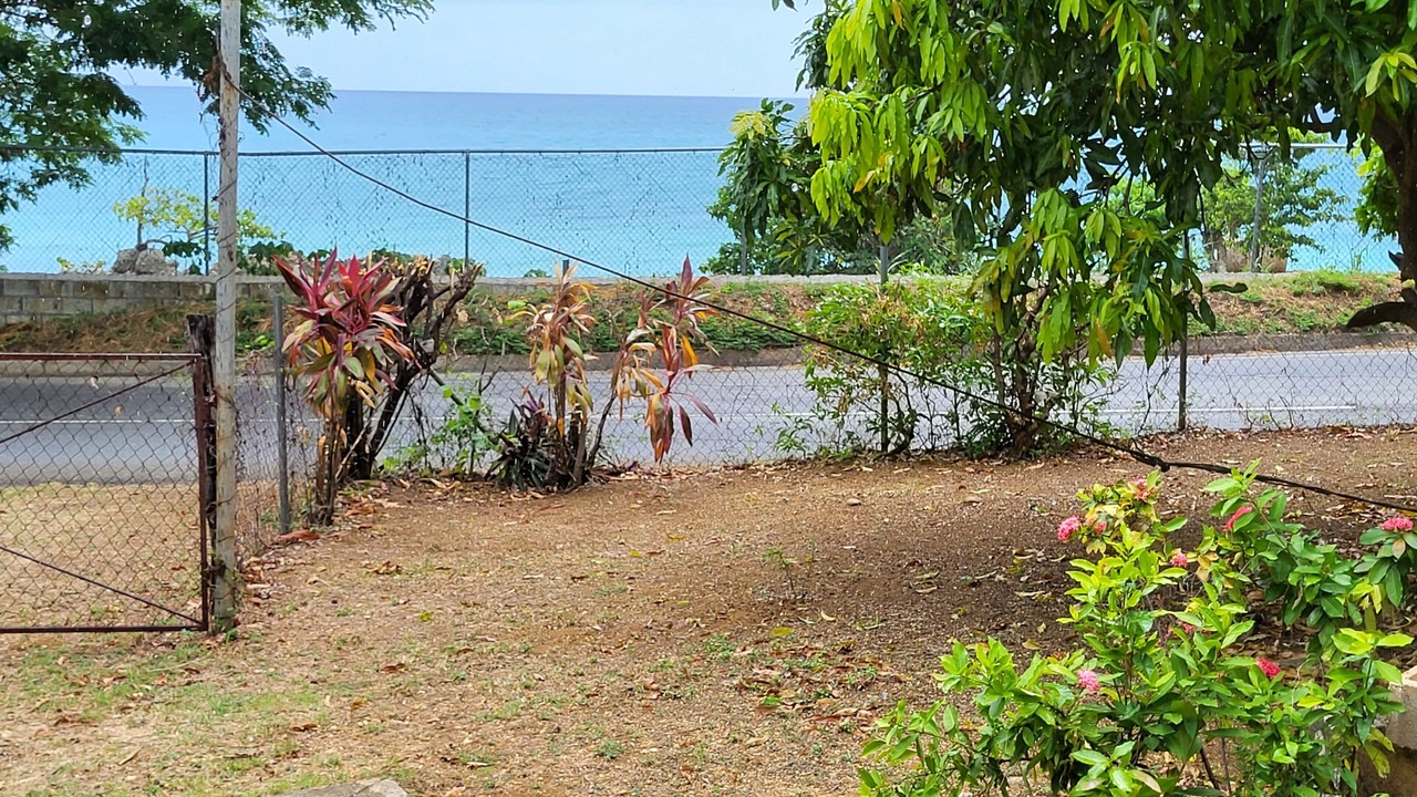 Photo of Outdoor in Bluefields