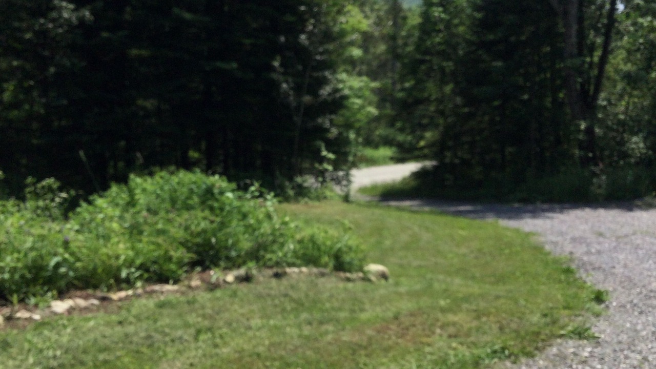 Photo of Outdoor in Washington