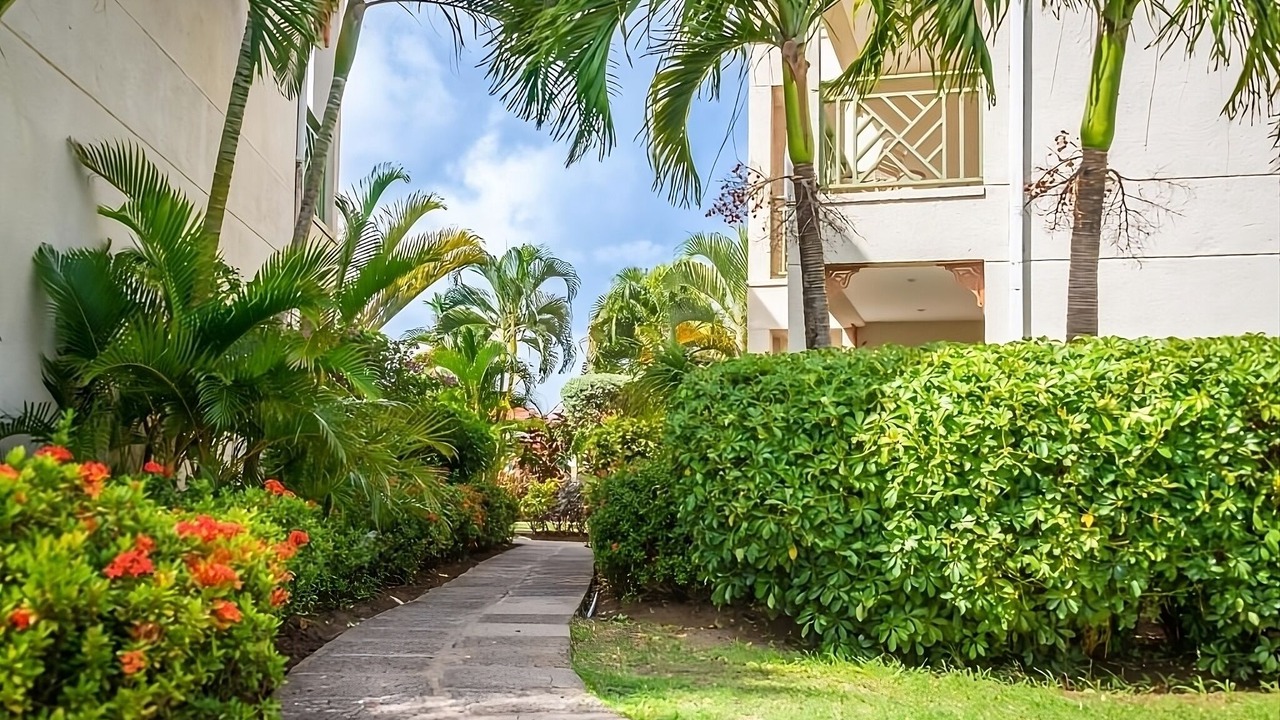 Photo of Outdoor in Rodney Bay
