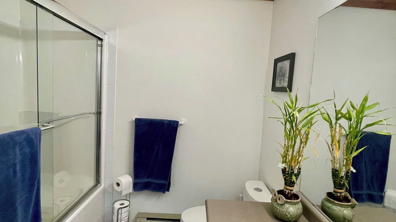 Photo of Bathroom in Big White Ski Resort