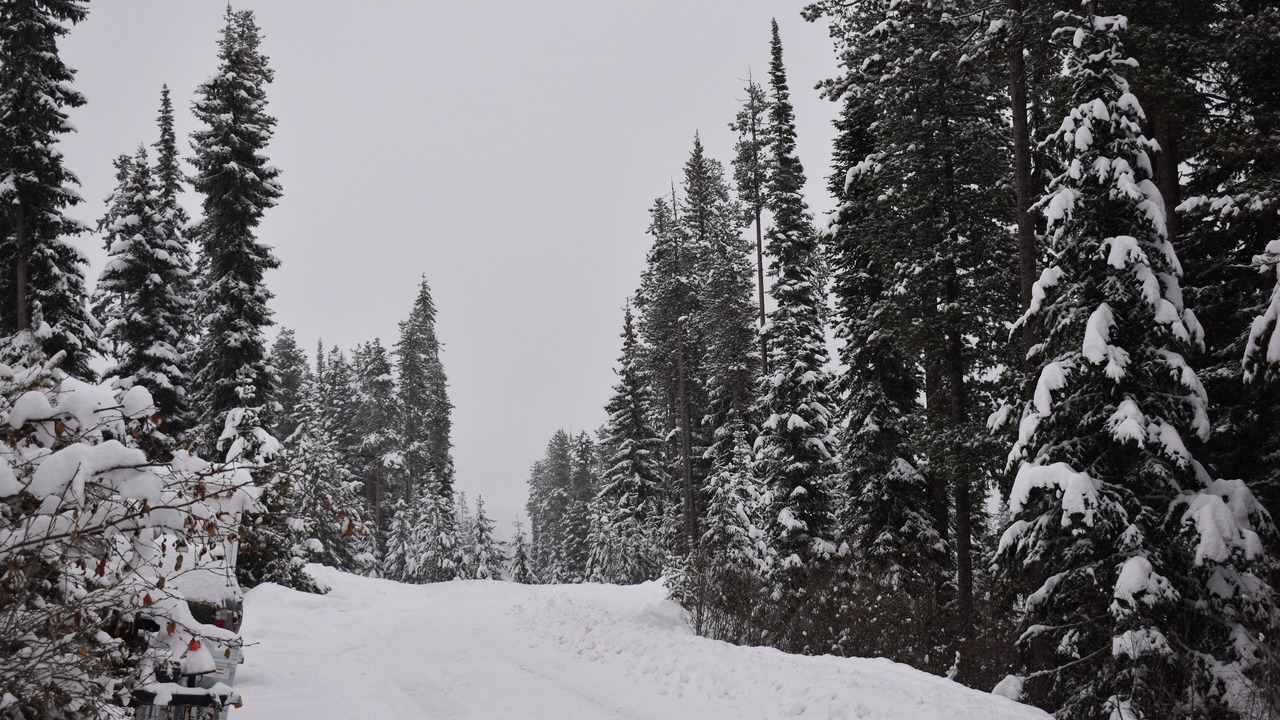 Photo of Others in Big White Ski Resort