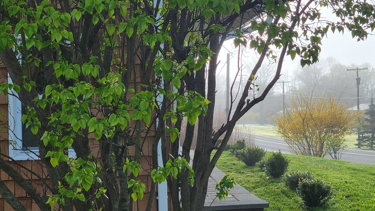 Photo of Outdoor in Town of Delaware