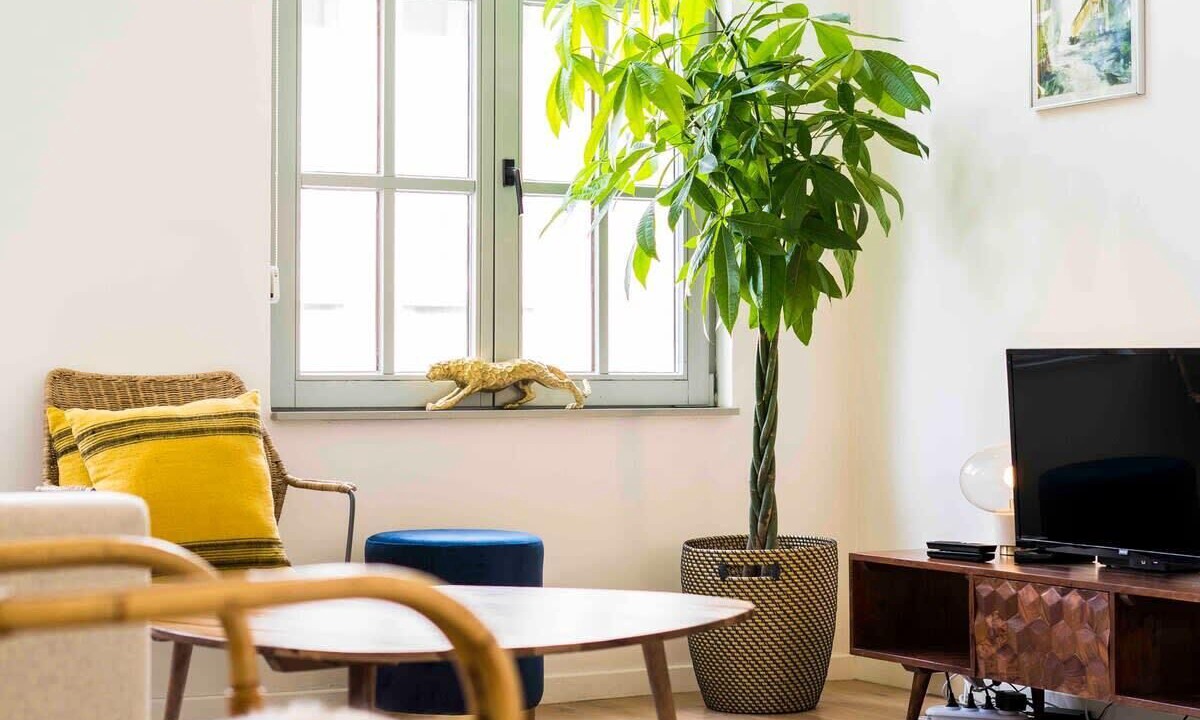 Photo of Livingroom in University District