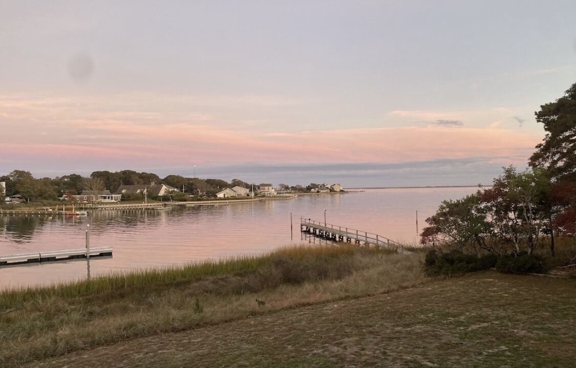 Photo of Outdoor in Hampton Bays