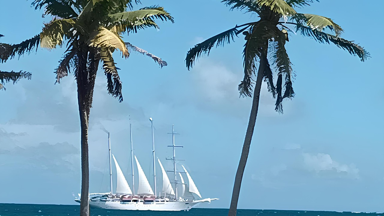 Photo of Others in Mount Pleasant Bay