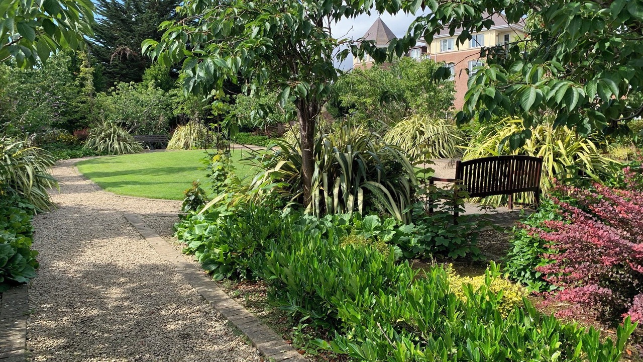 Photo of Outdoor in Stillorgan
