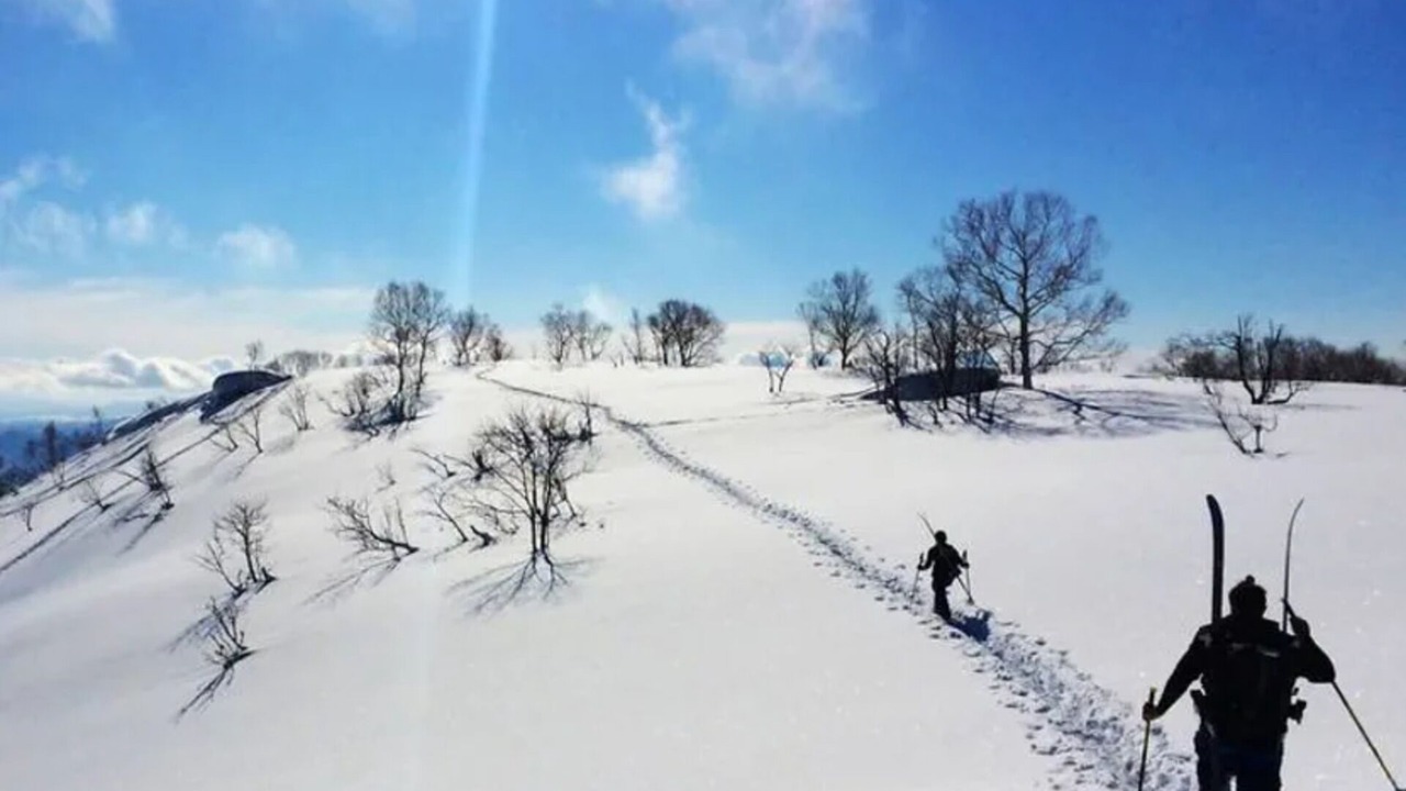 Photo of Others in Hirafu