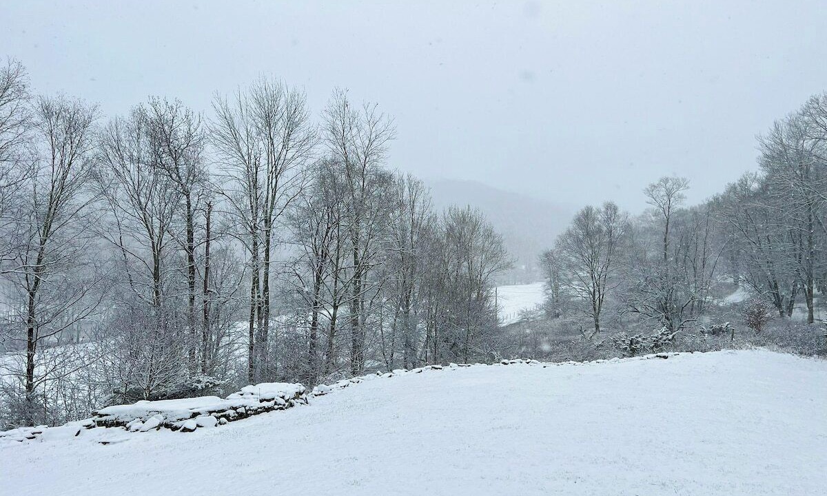 Photo of Others in Callicoon