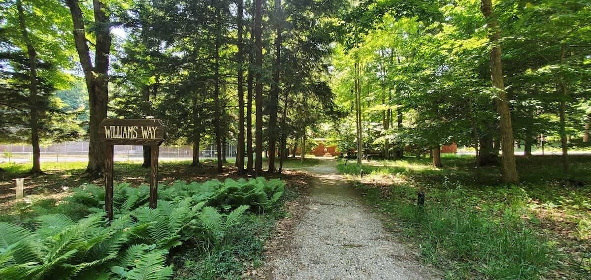 Photo of Outdoor in Frankfort