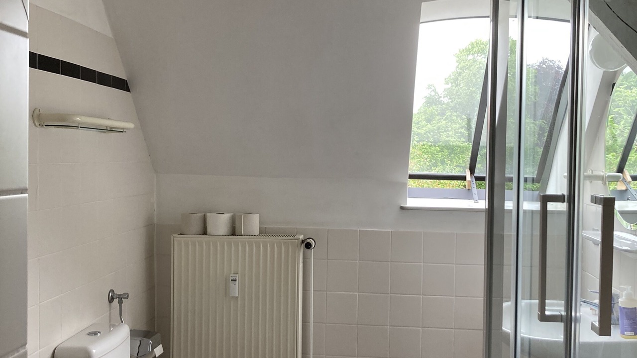 Photo of Bathroom in Luechow
