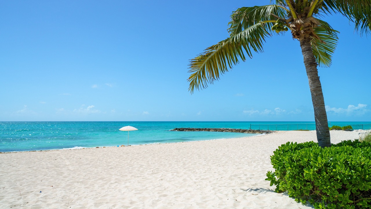 Photo of Others in Palm Cay