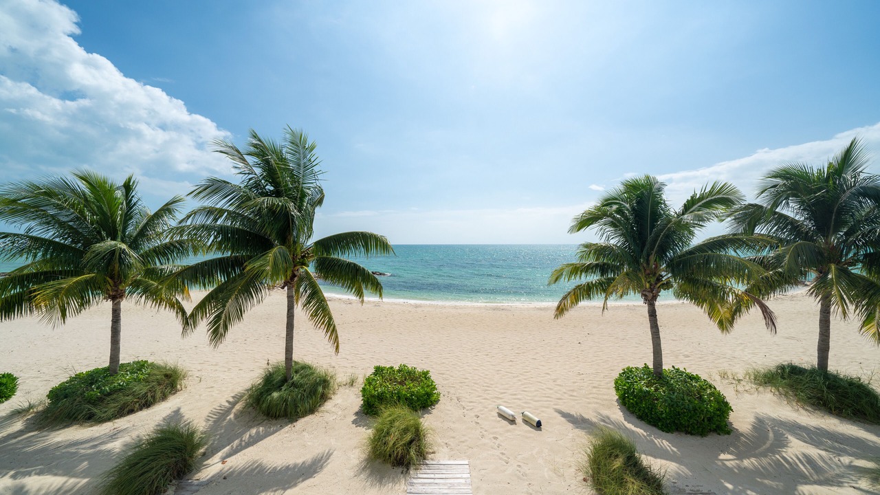 Photo of Others in Palm Cay