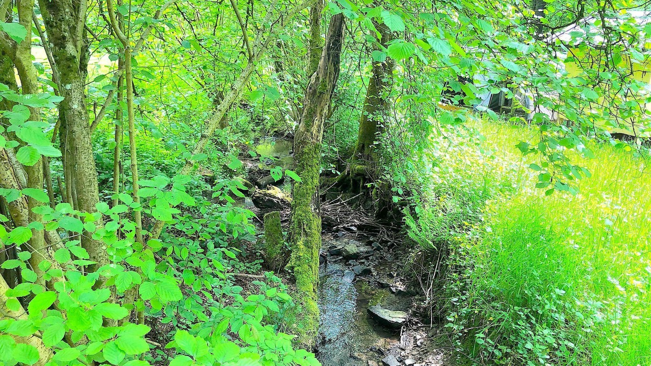 Photo of Outdoor in Alzenbach