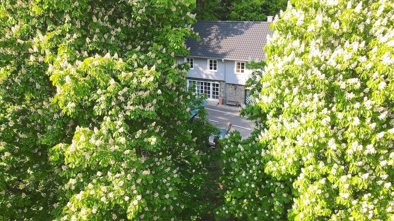 Photo of Outdoor in Alzenbach