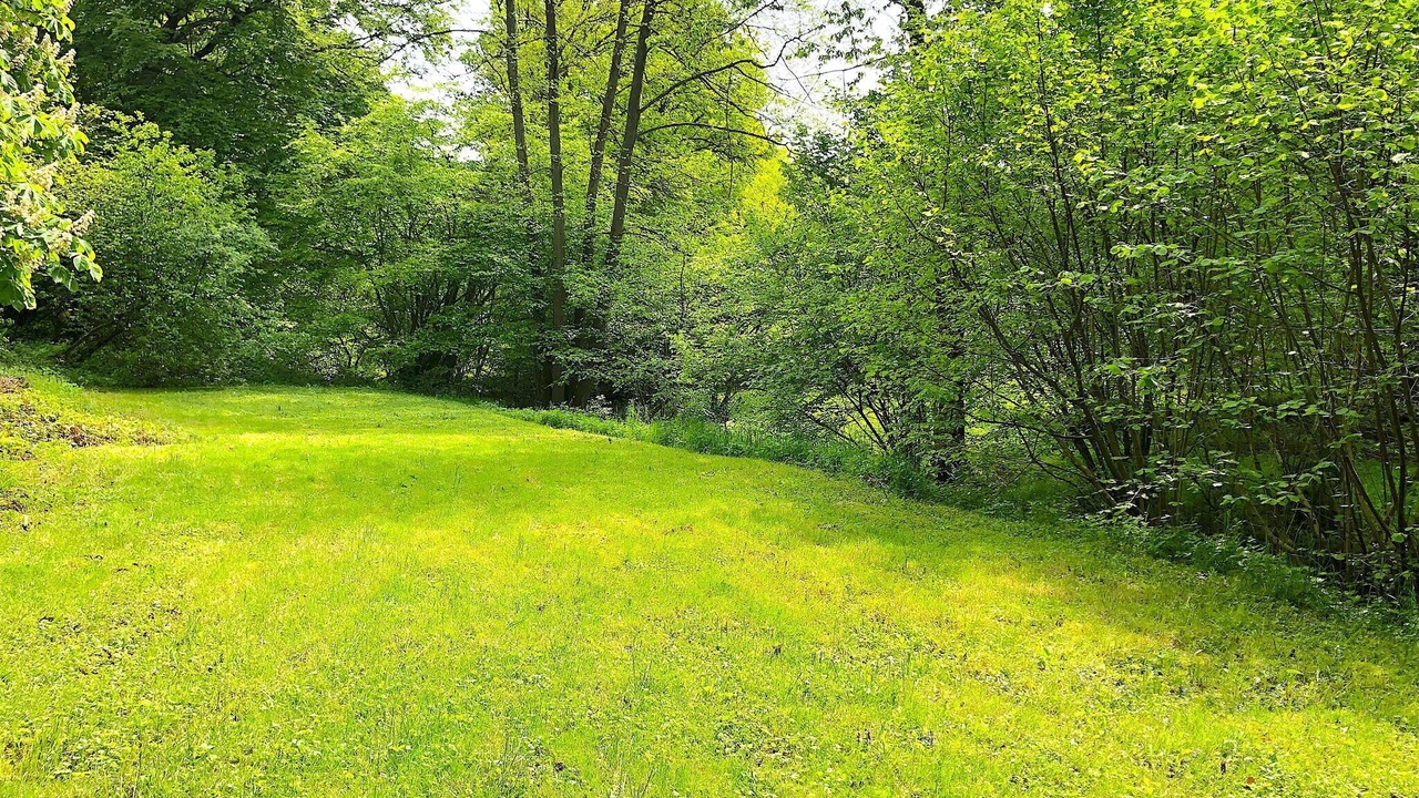 Photo of Outdoor in Alzenbach