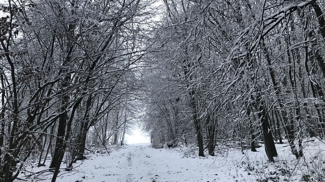 Photo of Others in Alzenbach