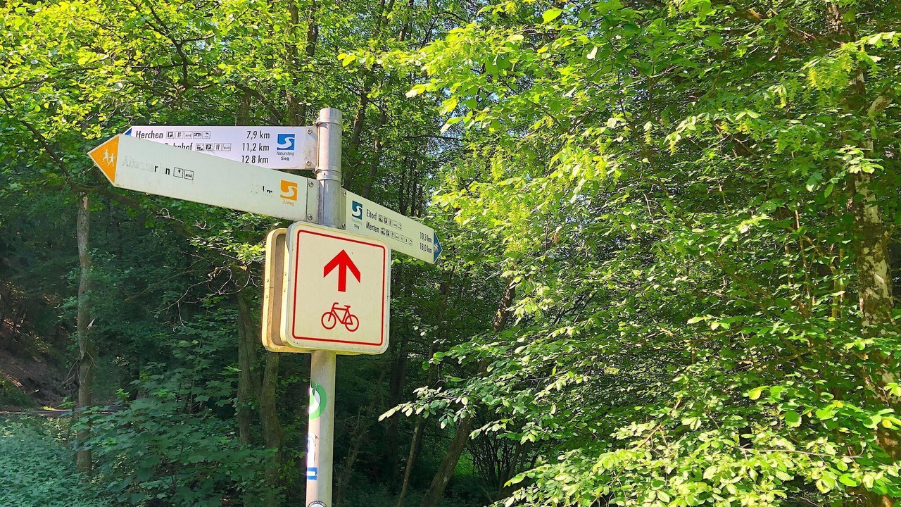 Photo of Outdoor in Alzenbach