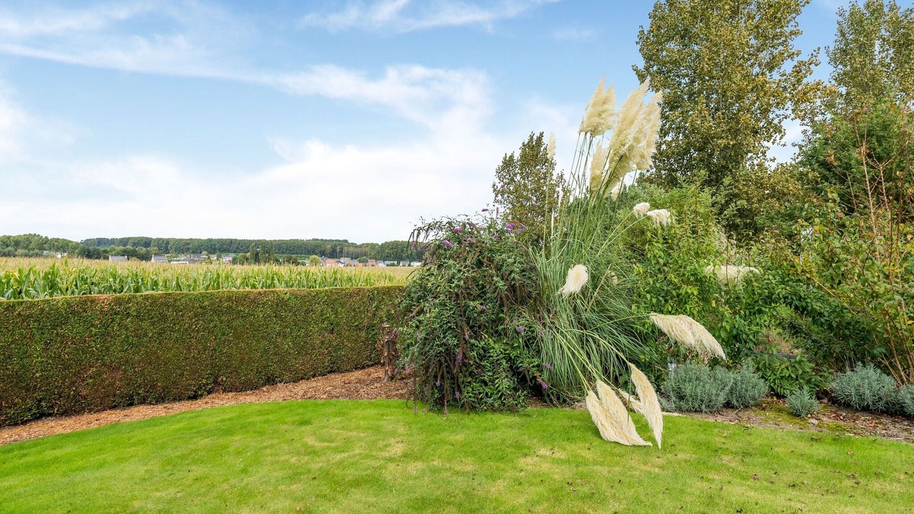 Photo of Outdoor in Oombergen