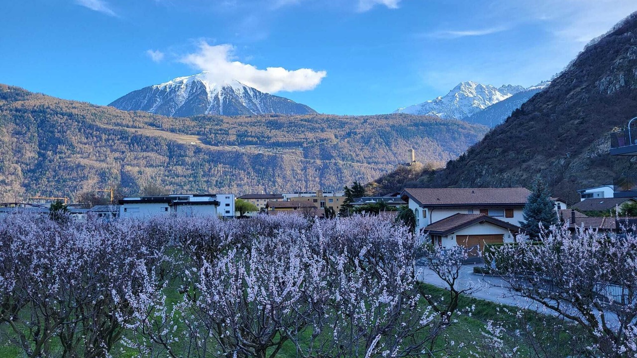 Photo of Outdoor in Martigny