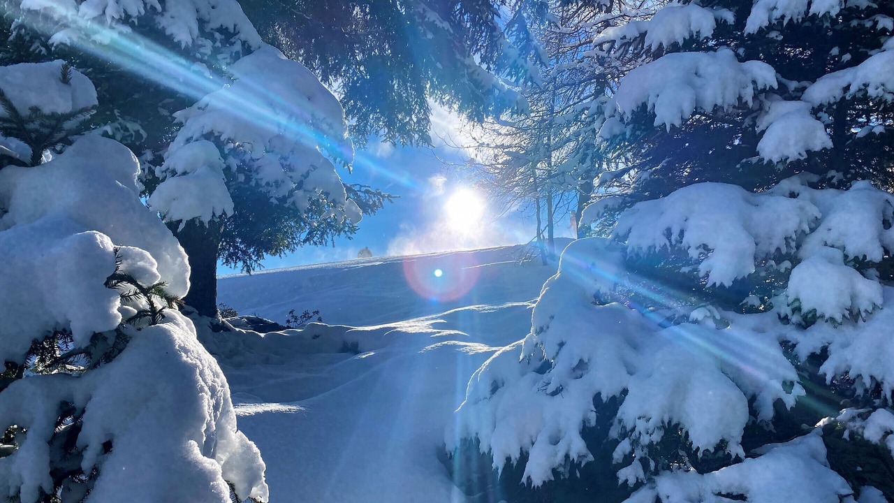 Photo of Others in Kirchberg in Tirol