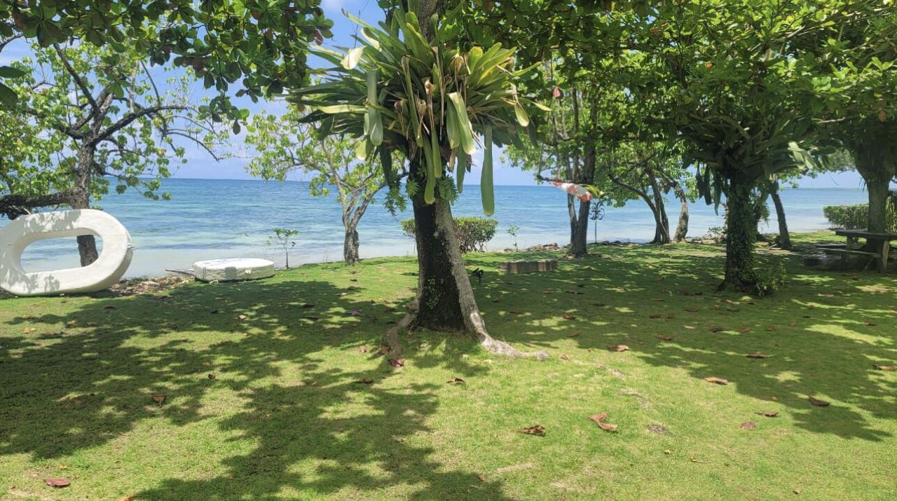 Photo of Outdoor in Belmont