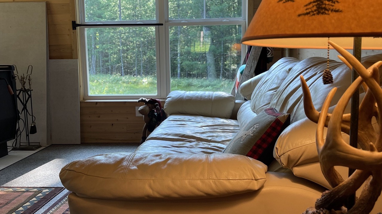 Photo of Livingroom in White Cloud