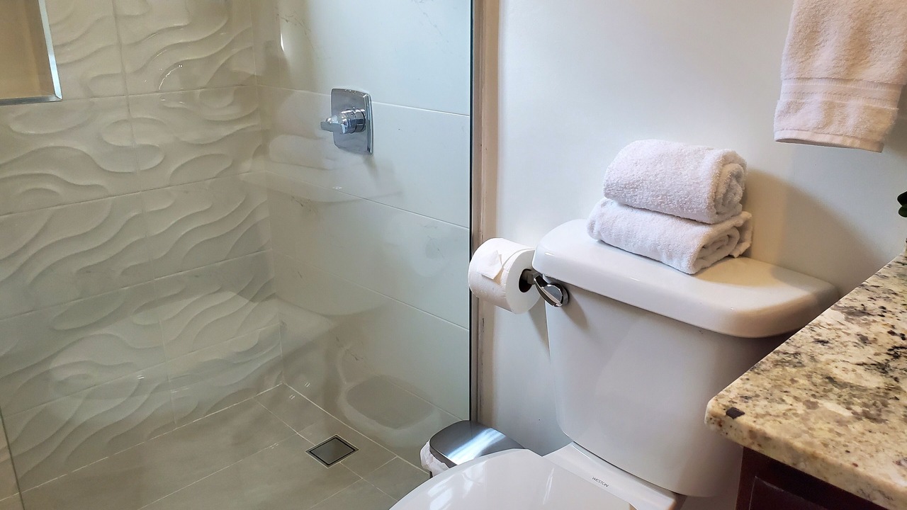 Photo of Bathroom in Portmore