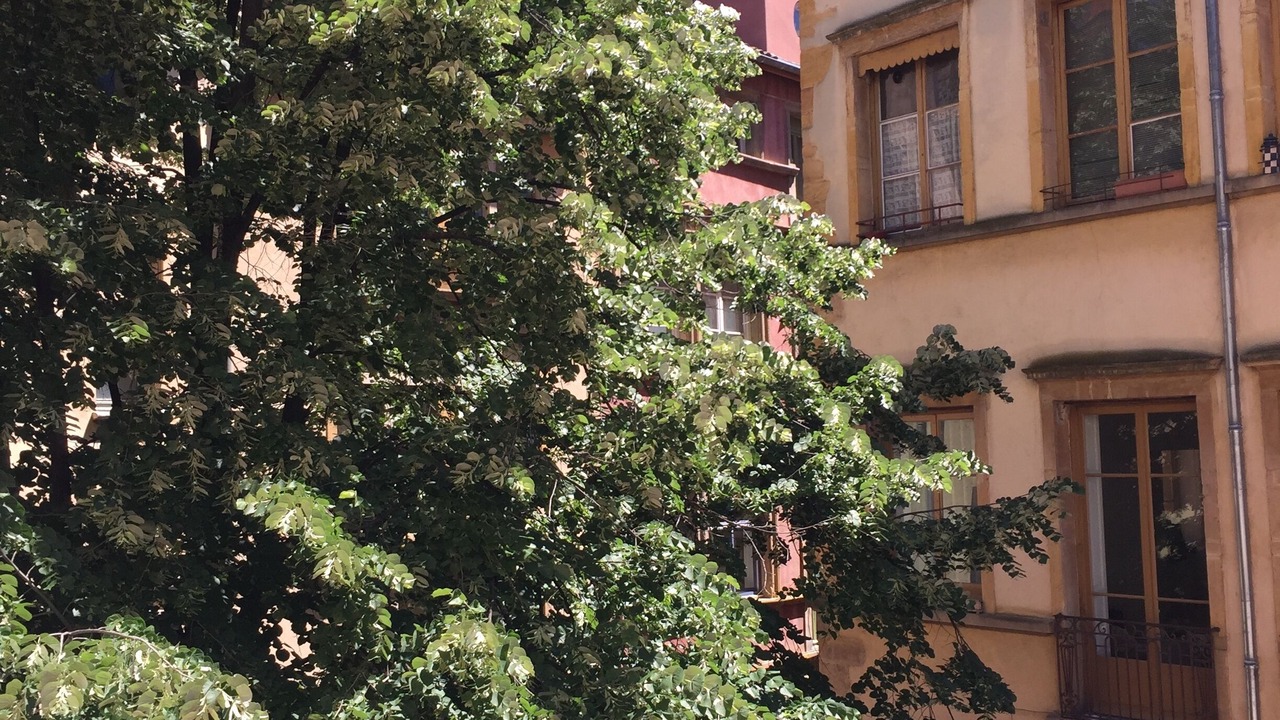 Photo of Outdoor in Les Cordeliers